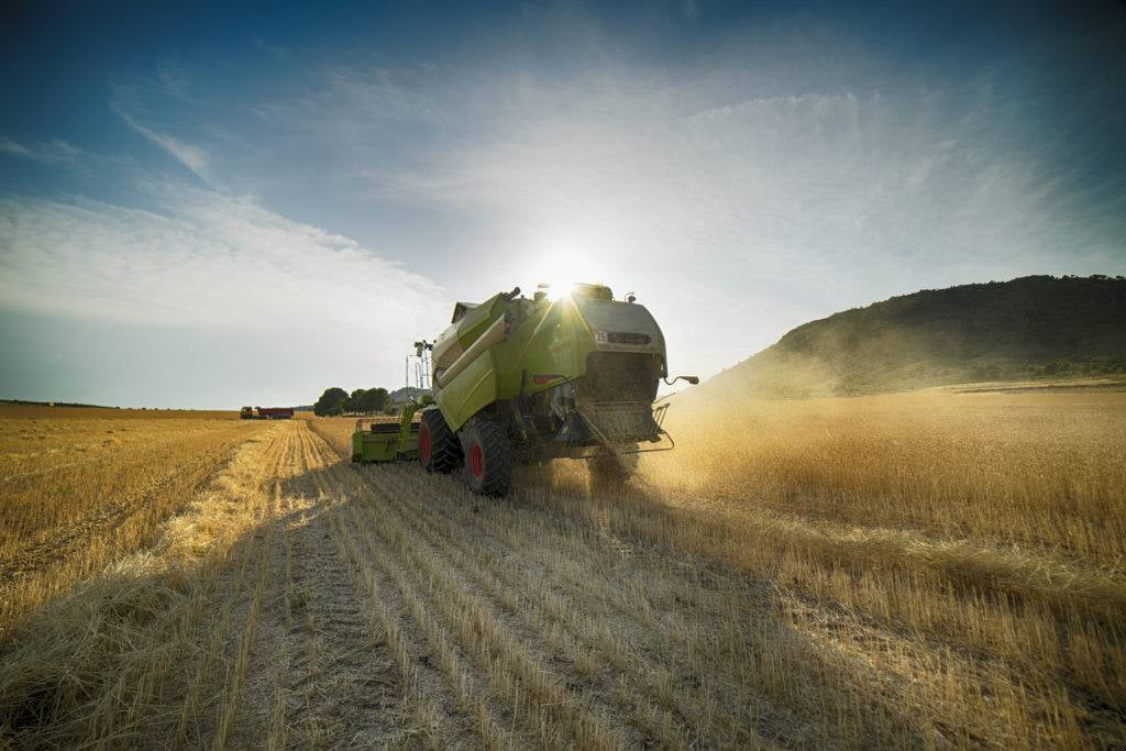 Los agricultores de todo el mundo están utilizando la tecnología IoT para optimizar los procesos agrícolas, incluida la gestión del agua, la fertirrigación, la seguridad del ganado y el monitoreo de cultivos.